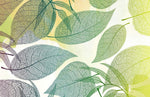 Peint mural feuilles sous le soleil éclat naturel et lumière douce - Vignette | Mr Papier Peint