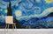 Papier peint mural Nuit Étoilée - Le meilleur Papier peint panoramique Sur mesure