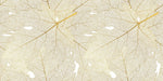 Papier peint mural Texture de Feuilles évasion nature et sérénité - Vignette | Mr Papier Peint