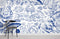 Papier peint mural vie marine avec motif poissons bleus et blancs et chaise