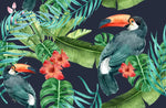 Papier peint tropical aquarelle Toucans et hibiscus en fleurs - Vignette | Mr Papier Peint