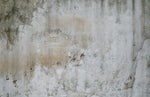 Papier peint vintage fresque murale au charme rétro - Vignette | Mr Papier Peint