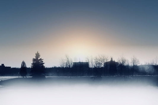 Silhouette brumeuse d’arbres et bâtiments sur papier peint panoramique Angele - hiver ombrage