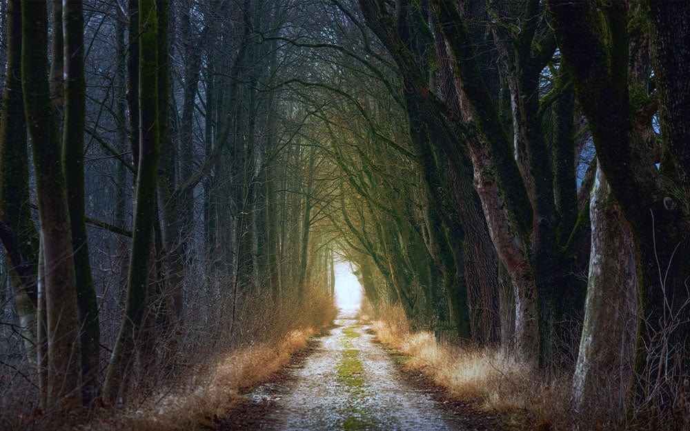 Chemin vers un lointain paysage en papier peint mural - Le meilleur Papier peint panoramique Sur mesure