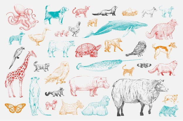 Collection Animaux: Le Papier Peint Esquisse Fantaisie! - Le meilleur Papier peint panoramique Sur mesure