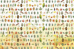 Collection de Feuilles Variées - Papier Peint Mural - Vignette | Mr Papier Peint