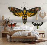 Collection de papillons de nuit - Papier peint mural - Vignette | Mr Papier Peint