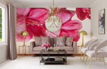 Fresque murale de floraison d'Hippeastrum - Vignette | Mr Papier Peint