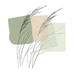 Illustration minimaliste de l'herbe pampa avec des tons doux - Vignette | Mr Papier Peint