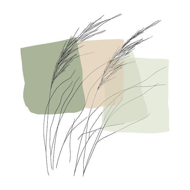 Illustration minimaliste herbe pampa sur papier peint panoramique