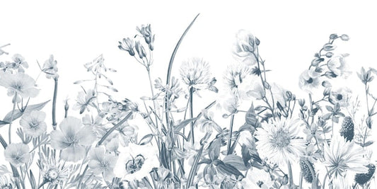 Bordure papier peint sur mesure Kali fleur vintage artistique épuré tracé noir et blanc floral délicat