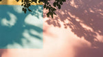 L'ombre d'une branche d'arbre sur un mur rose et bleu - Vignette | Mr Papier Peint