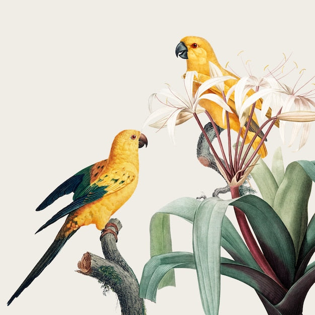 Macaw Exotique: Papier Peint Tropical Vibrant (Illustration) - Le meilleur Papier peint panoramique Sur mesure