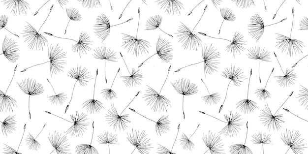 Motif graines de pissenlit esquissé à la main sur papier peint