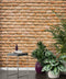 Mur de Briques Authentique papier peint panoramique avec plantes et table d’appoint