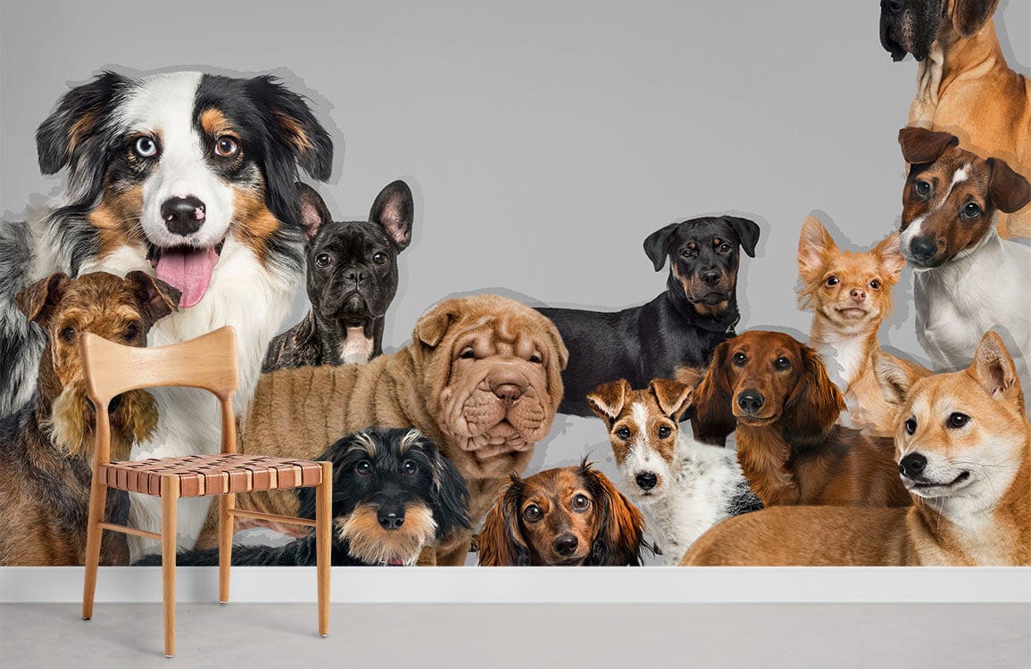 Mural de Papier Peint de Rassemblement de Chiens - Le meilleur Papier peint panoramique Sur mesure