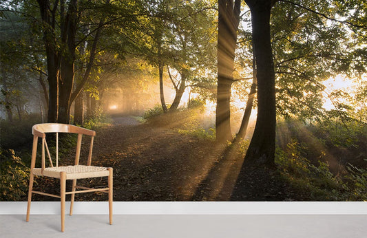 Murale de Forêt Ensoleillée en Papier Peint - Le meilleur Papier peint panoramique Sur mesure