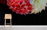 Papier peint Dahlias éclat floral pour un mur plein de vie - Vignette | Mr Papier Peint