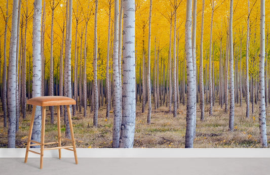 Murale de papier peint d’arbres d’automne - Le meilleur Papier peint panoramique Sur mesure