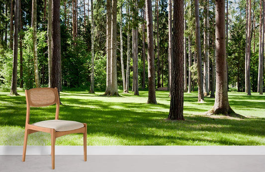 Murale de papier peint de forêt ensoleillée - Le meilleur Papier peint panoramique Sur mesure