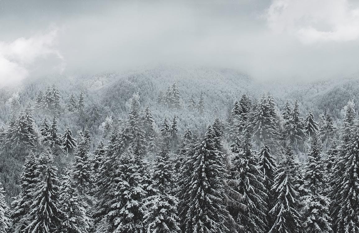 Murale de papier peint représentant une forêt enneigée sous ciel nuageux, papier peint panoramique
