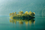 Papier peint verts Lac Serein et Île boisée pour salon moderne - Vignette | Mr Papier Peint