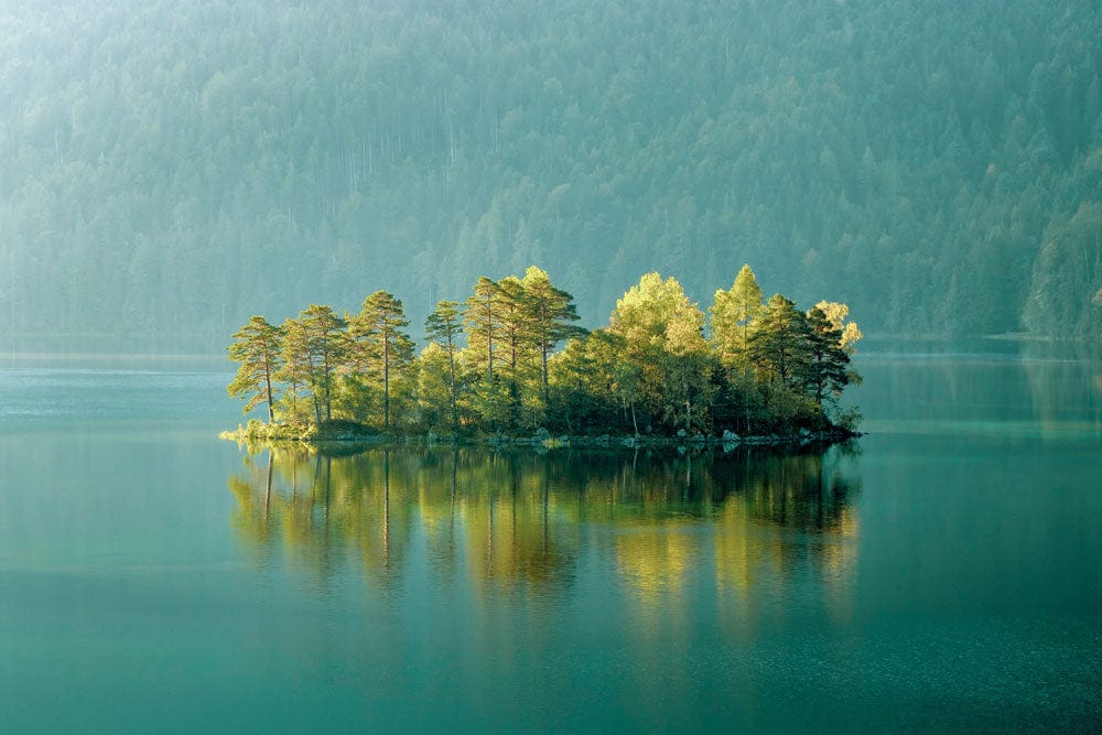 Papier peint verts avec île boisée paisible sur un lac tranquille pour Murale de Papier Peint Verts sur le Lac