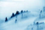 Papier peint panoramique Pins et Brouillard dense Beauté mystérieuse - Vignette | Mr Papier Peint