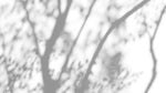 Ombres Végétales Naturelles – Papier Peint Texturé Blanc - Vignette | Mr Papier Peint