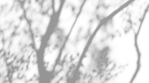 Ombres végétales naturelles sur papier peint texturé blanc sur mesure