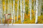 Papier peint panoramique Bouleaux dorés pour une décoration personnalisée - Vignette | Mr Papier Peint