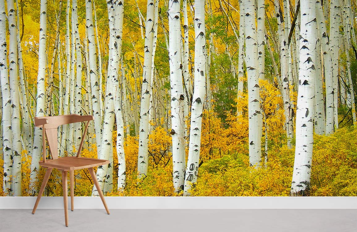 Chaise en bois avec dossier courbé et pieds évasés sur papier peint panoramique décoration personnalisée