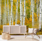 Papier peint panoramique Bouleaux dorés pour une décoration personnalisée - Vignette | Mr Papier Peint