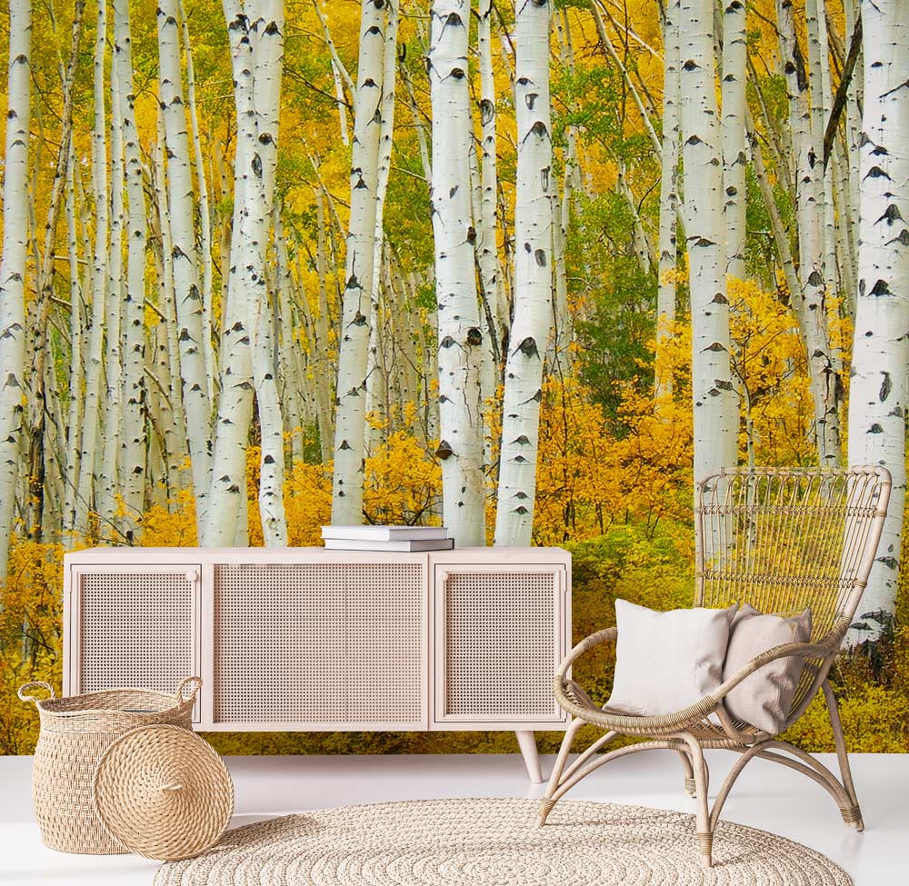 Papier peint panoramique décoration personnalisée avec meuble en bois rose et portes en cannage