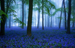 Papier peint panoramique forêt aux fleurs bleues élégance naturelle - Vignette | Mr Papier Peint