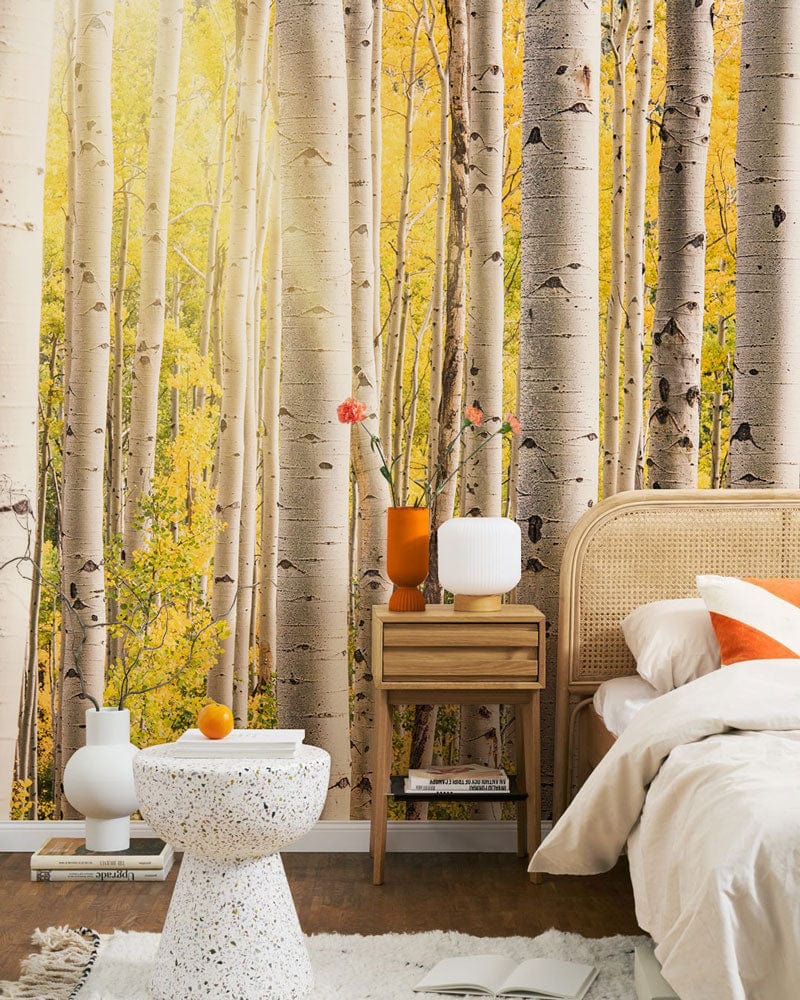 Papier peint panoramique forêt de bouleaux ensoleillée pour décoration personnalisée, contactez Mr-Papier-Peint
