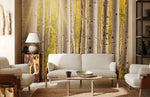 Forêt de bouleaux ensoleillée papier peint panoramique décoration personnalisée - Vignette | Mr Papier Peint