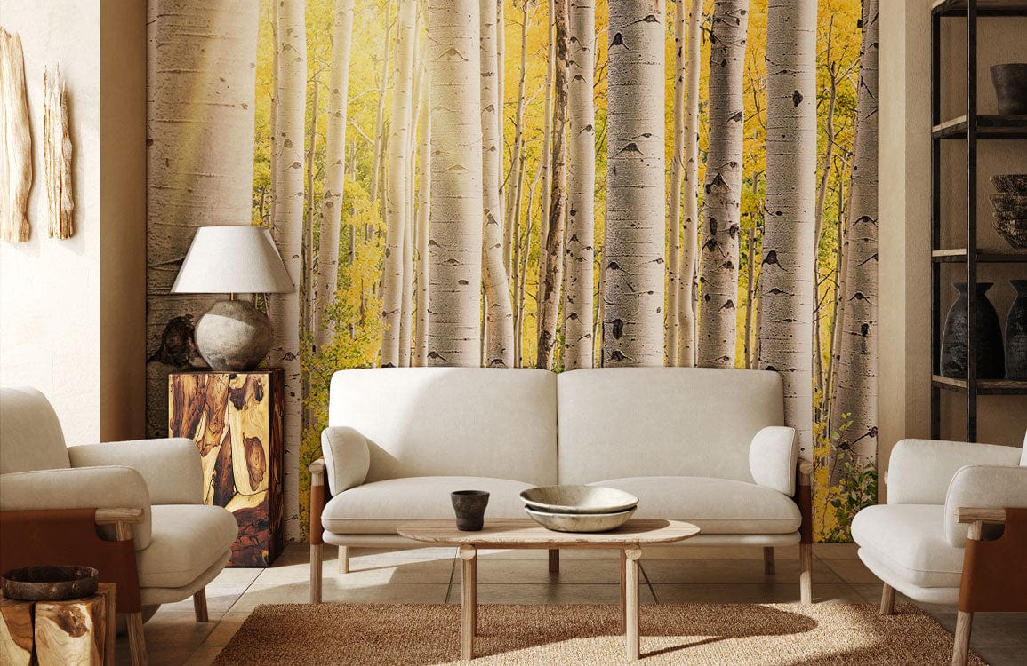 Papier peint panoramique de forêt de bouleaux ensoleillée pour décoration personnalisée, contactez Mr-Papier-Peint