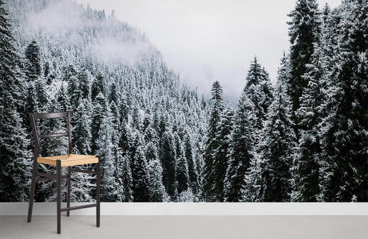 Papier Peint de forêt de brume hivernale. - Le meilleur Papier peint panoramique Sur mesure