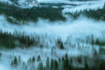 Peinture panoramique forêt enveloppée de brume atmosphère apaisante - Vignette | Mr Papier Peint