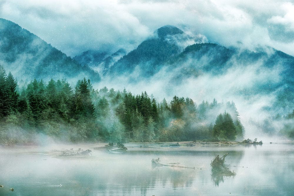 Papier peint panoramique montagne brumeuse avec forêt de conifères pour décoration personnalisée