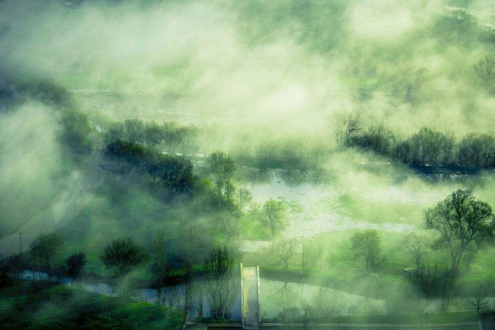 Papier peint panoramique forêt verdoyante et brumeuse pour décoration personnalisée
