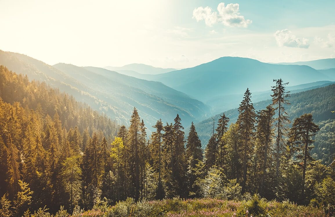 Papier peint panoramique montagnes pittoresques pour une décoration personnalisée nature