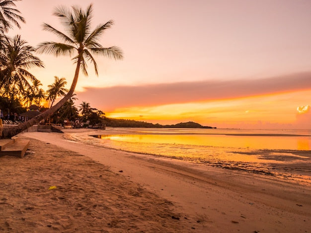 Papier Peint Exotique: Aube Tropicale et Palmiers - Le meilleur Papier peint panoramique Sur mesure