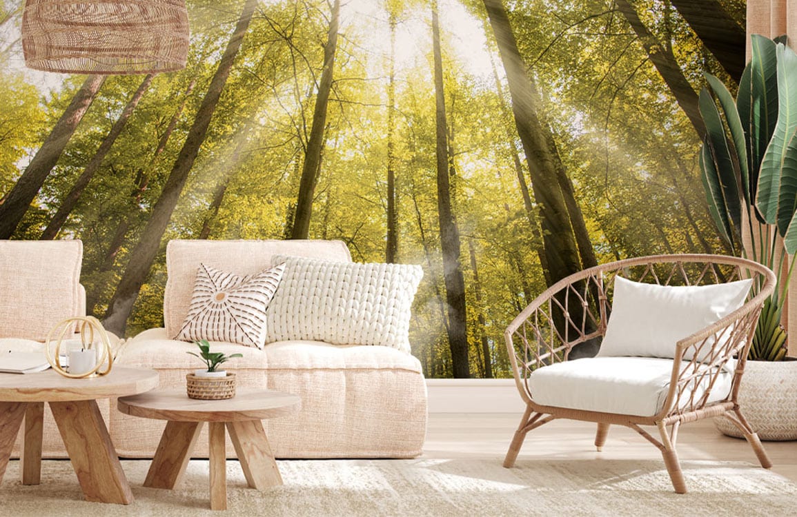 Canapé modulable cosy avec coussins, idéal pour décoration personnalisée avec papier peint Lueur de la forêt