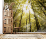 Papier peint panoramique Lueur de la forêt décoration personnalisée - Vignette | Mr Papier Peint