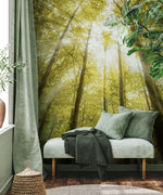 Papier peint panoramique Lueur de la forêt décoration personnalisée - Vignette | Mr Papier Peint