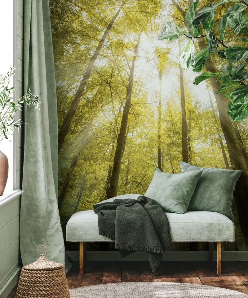 Chaise longue vert pâle avec coussins et couverture, idéale pour décoration personnalisée avec papier peint panoramique Lueur de la forêt