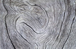 Papier peint mural à motif de bois gris - Vignette | Mr Papier Peint