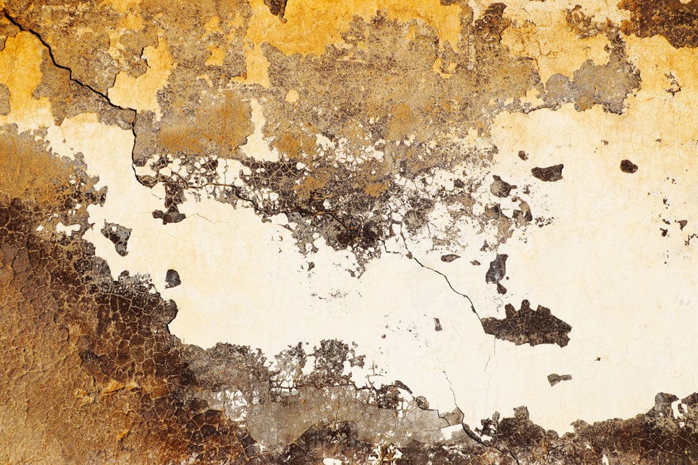 Papier peint mural avec motif d’écailles peintes sur mur usé et fissuré